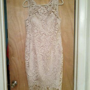 Adrianna Papell Taupe, Lace Dress, Size 12.